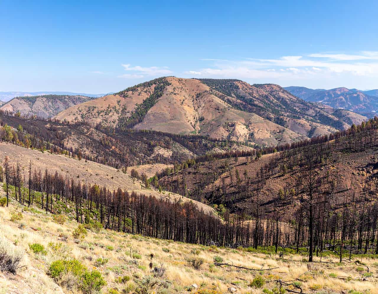 Landscape Recovery